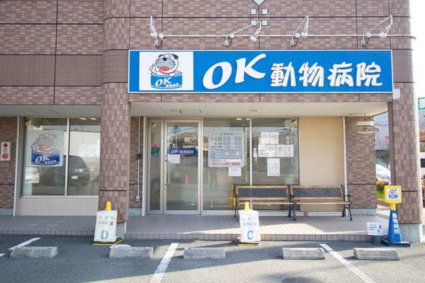 OK動物病院