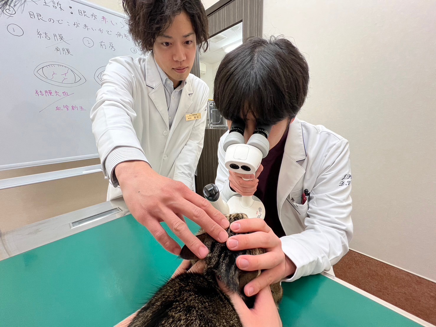 臨床実践インターンシップ