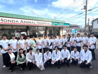 採用情報 トップ画像